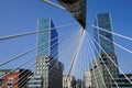 The Bridge Ã¢â¬Å Zubizuri Ã¢â¬Åof Santiago Calatrava,